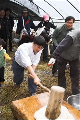 반죽이 어느정도 찰기가 생기면 천을 빼고 떡메를 칩니다. 떠억~ 떡! 경쾌한 소리가 나면 떡메질도 힘들지 않습니다. 